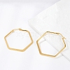 201 Stainless Steel Angular Hoop Earrings EJEW-F205-13G-A-1