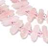 Natural Rose Quartz Double Terminated Point Beads Strands G-H069-B17-01-4