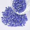 8/0 Two Cut Glass Seed Beads SEED-S033-10A-02-1