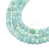 Natural Amazonite Beads Strands G-G106-A15-01-3