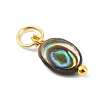 Natural Paua Shell Pendants PALLOY-JF05290-01-3