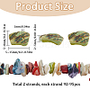 187Pcs Nuggets Chips Natural Shell Beads BSHE-SC0001-15-2