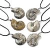 Natural Conch Fossil Pendant Necklaces G-P552-01P-1