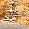 Preciosa® MAXIMA Crystal Round Stones Y-PRC-RBSS24-00030-277-3