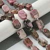 Natural Rhodonite Beads Strands G-C098-A07-01-2