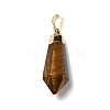 Natural Tiger Eye Pointed Pendants G-P474-02G-06-2