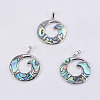 Abalone Shell/Paua Shell Pendants SSHEL-L008-27P-1