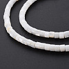 Natural Freshwater Shell Beads Strands X-SHEL-N027-09-4