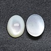 Shell Cabochons SSHEL-P015-59E-2