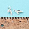 925 Sterling Silver Charms STER-H106-05S-4