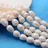 Grade A Natural Cultured Freshwater Pearl Beads Strands X-A23TS011-1