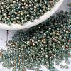 MIYUKI Round Rocailles Beads SEED-X0055-RR0351-4