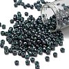 TOHO 6/0 Round Beads X-SEED-TR06-1207-1