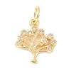 Brass Micro Pave Clear Cubic Zirconia Pendant KK-B055-01G-1