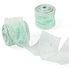 Polyester Deco Mesh Ribbons OCOR-TAC0024-004G-2