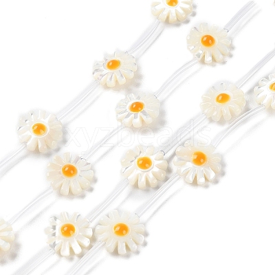 Natural Trochus Shell Beads Strands BSHE-E030-06A-1