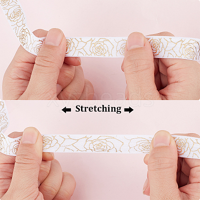 10 Yards Polyester Ribbon OCOR-CY0003-67B-1