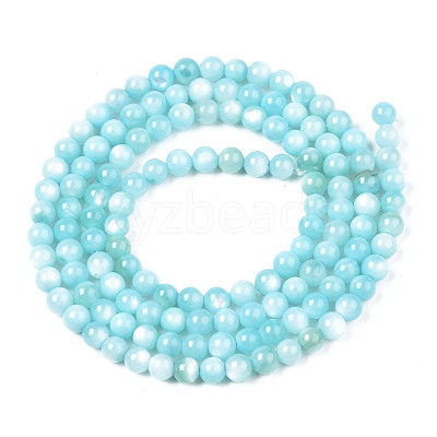 Natural Freshwater Shell Beads Strands X-BSHE-T009A-01E-1