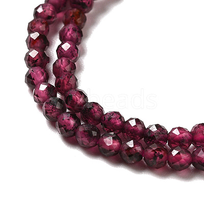 Natural Garnet Beads Strands G-I341-09A-1