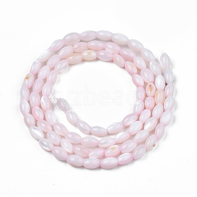 Natural Freshwater Shell Beads Strands SHEL-N003-25-B06-1