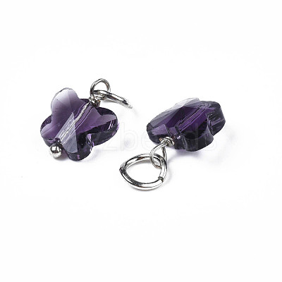 Faceted Transparent Glass Charms GLAA-T024-06A-1