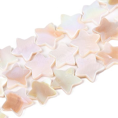 Natural Freshwater Shell Beads Strands SSHEL-N040-18-1