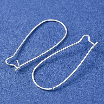 Brass Hoop Earrings Findings Kidney Ear Wires LS-EC221-S-1