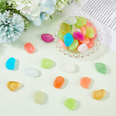 1 Set Resin Luminous Glow in the Dark Pebbles Stone DJEW-CN0001-40A-1