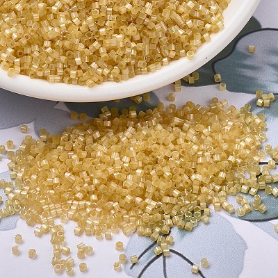 MIYUKI Delica Beads X-SEED-J020-DB1801-1