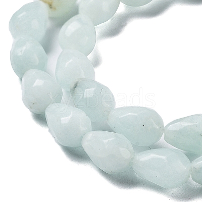 Natural Amazonite Beads Strands G-P520-B10-01-1