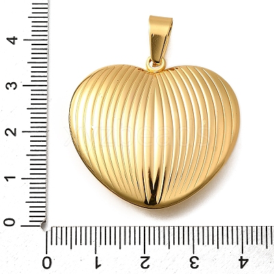304 Stainless Steel Pendants LS-STAS-H200-25G-17-1