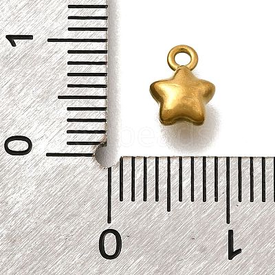 304 Stainless Steel Charms STAS-D310-06G-05-1