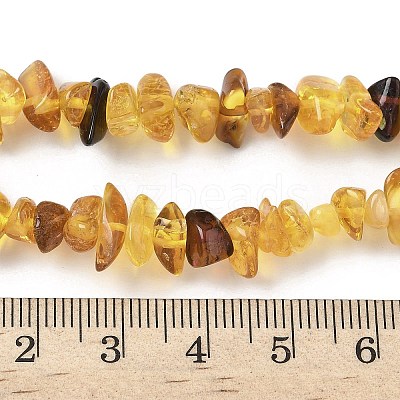 Natural Amber Beads Strands G-L095-D01-04-1