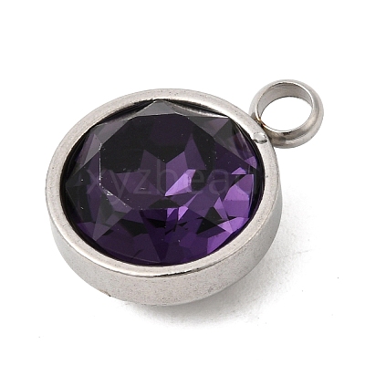 Birthstone Theme February 304 Stainless Steel Pendants STAS-G082-17P-02-1