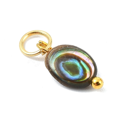 Natural Paua Shell Pendants PALLOY-JF05290-01-1