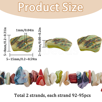 187Pcs Nuggets Chips Natural Shell Beads BSHE-SC0001-15-1