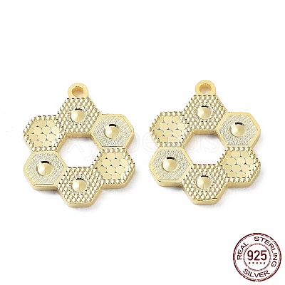 925 Sterling Silver Pendants STER-C003-14G-1