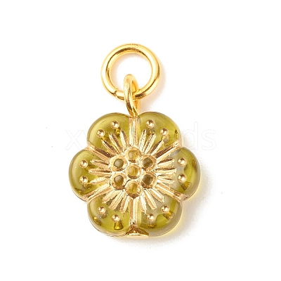 Plating Acrylic Pendants PALLOY-JF01599-1