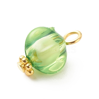 Transparent Acrylic Pendants PALLOY-JF01834-01-1