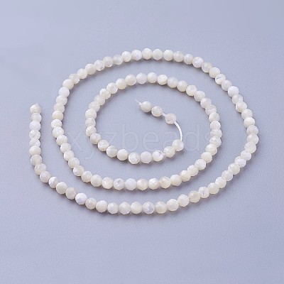 Shell Beads Strands LS-G-F619-27-3mm-1