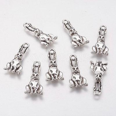 Tibetan Style Alloy Pendants LS-PALLOY-A15373-AS-NF-1