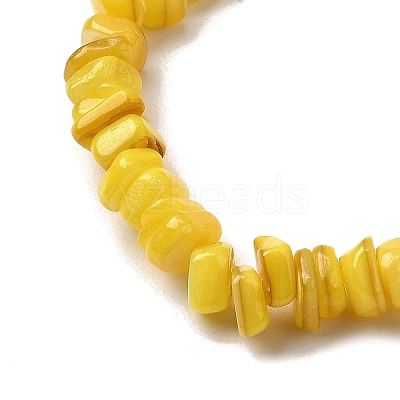 Natural Freshwater Shell Beads SHEL-B003-01A-1