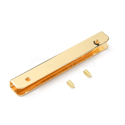 Zinc Alloy Bag Decorative Edge Buckles FIND-WH0144-53G-1