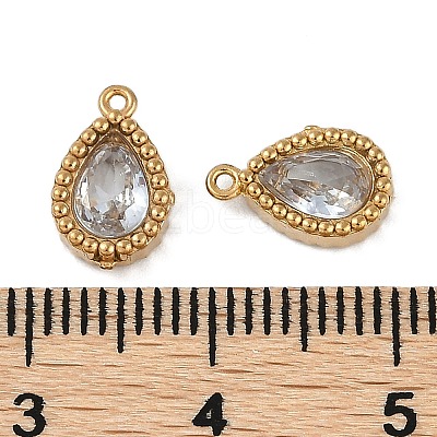 Ion Plating(IP) 304 Stainless Steel Micro Pave Cubic Zirconia Charms STAS-K256-20G-09-1