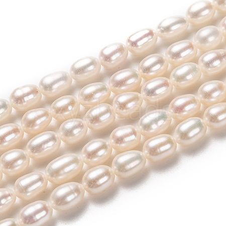 Grade AAA Natural Cultured Freshwater Pearl Beads Strands PEAR-L033-67-1