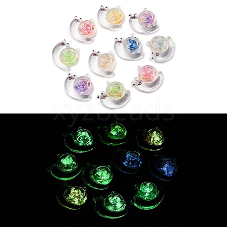 Luminous Transparent Acrylic Pendants TACR-P010-03-1