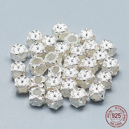 925 Sterling Silver Beads STER-T002-79S-1