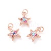 Brass Micro Pave Cubic Zirconia Charms ZIRC-F106-06-2