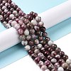 Natural Plum Blossom Tourmaline Beads Strands G-P477-01B-01-2