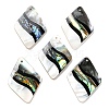 Natural Freshwater Shell & Black Lip Shell & Paua Shell & Natural White Shell Pendants BSHE-G034-06-1